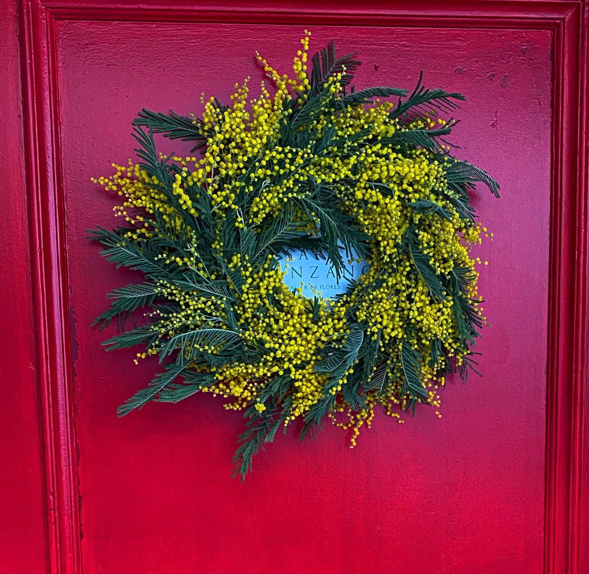 Corona de Mimosas. Edición Limitada.