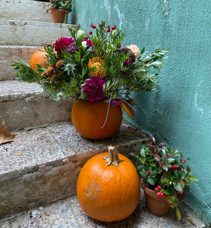 Calabazas de Flores