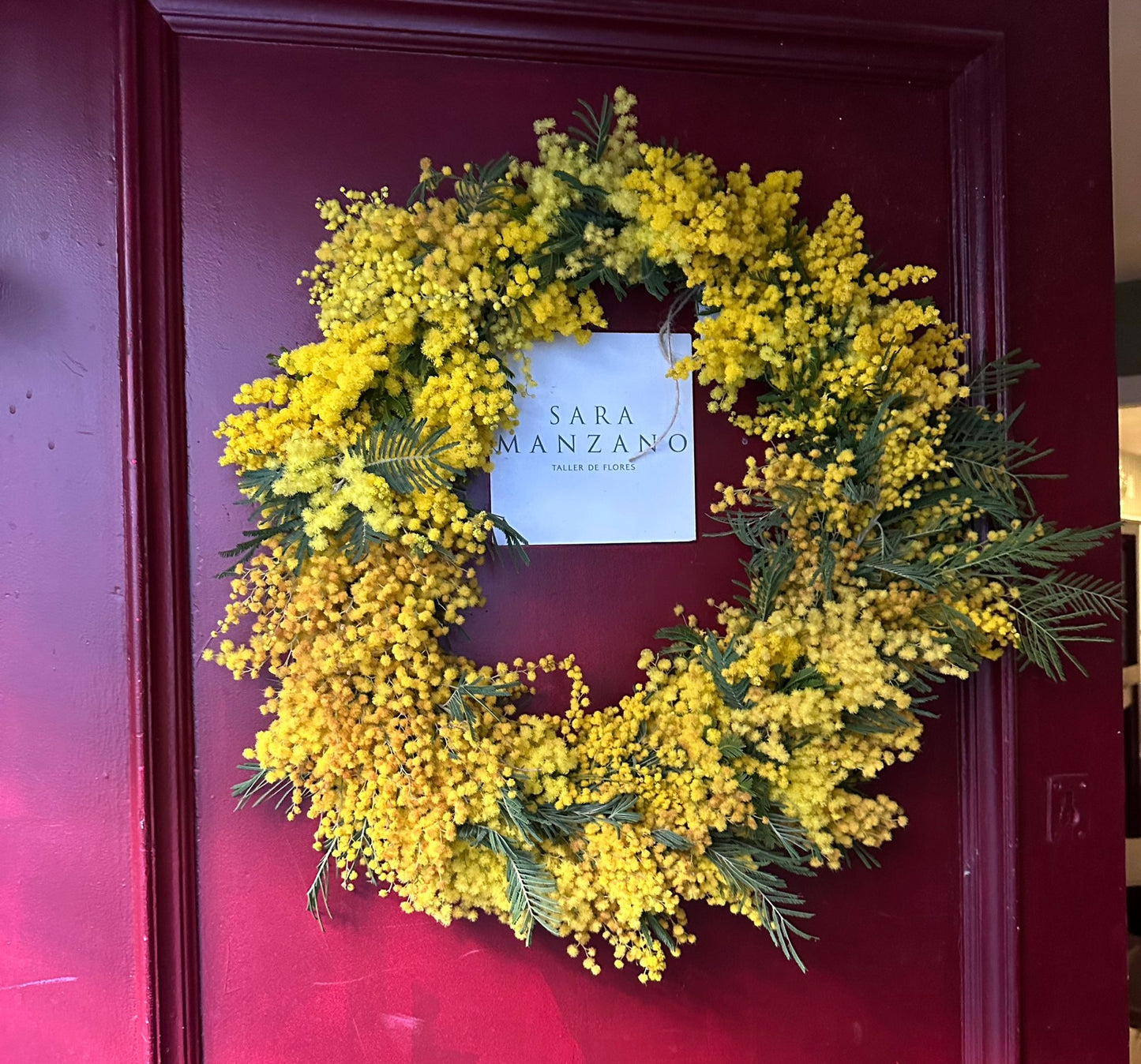 Corona de Mimosas. Edición Limitada.