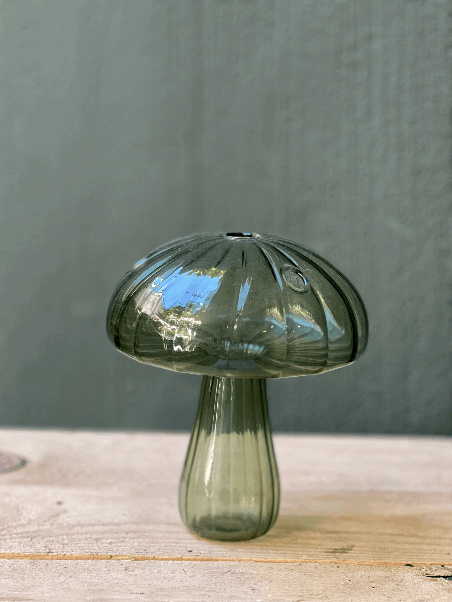 Glass Mushroom Vase
